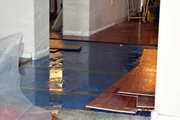 Professional Basement Flood Cleanup technician working in Morganton, NC